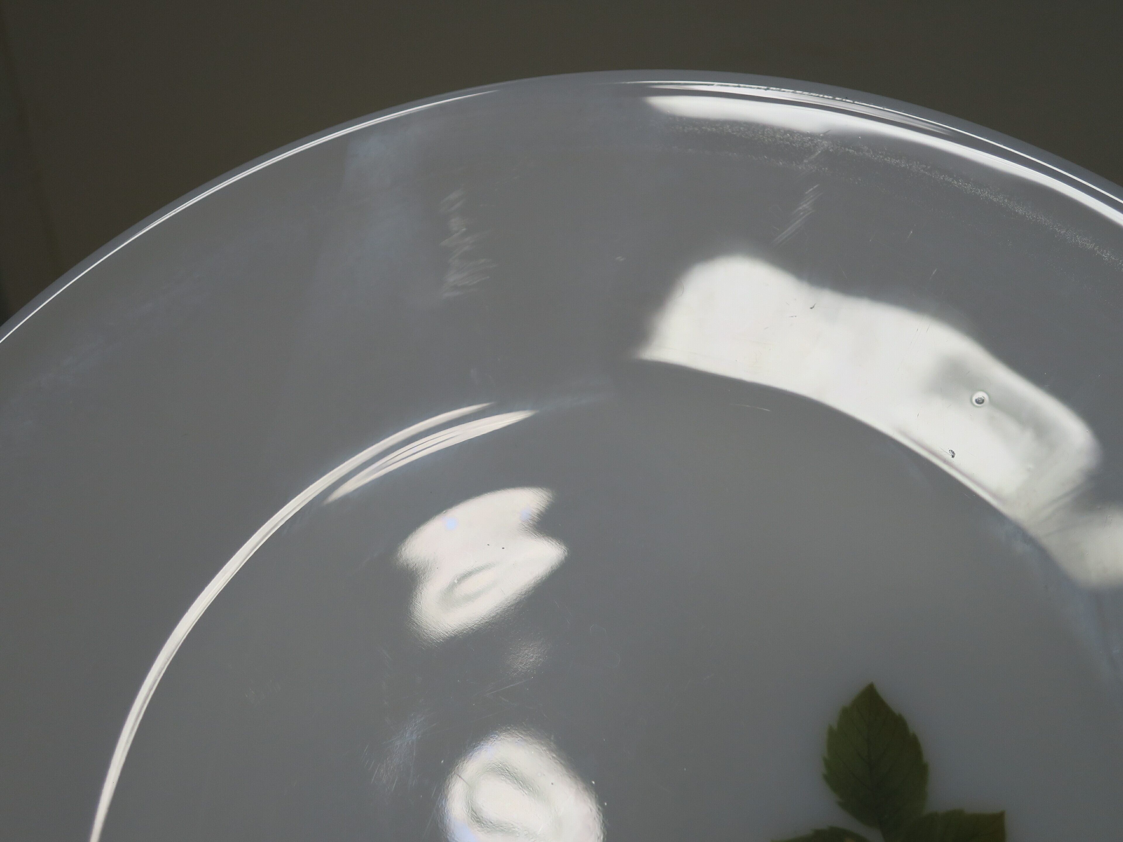 JAJパイレックス オータムグローリーシリーズ ディナープレート 6枚セット Pyrex (JAJ) オータムグローリー ディナープレート | cellumama