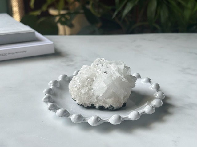 婿養子家族とマスオさん家族の幸せ6