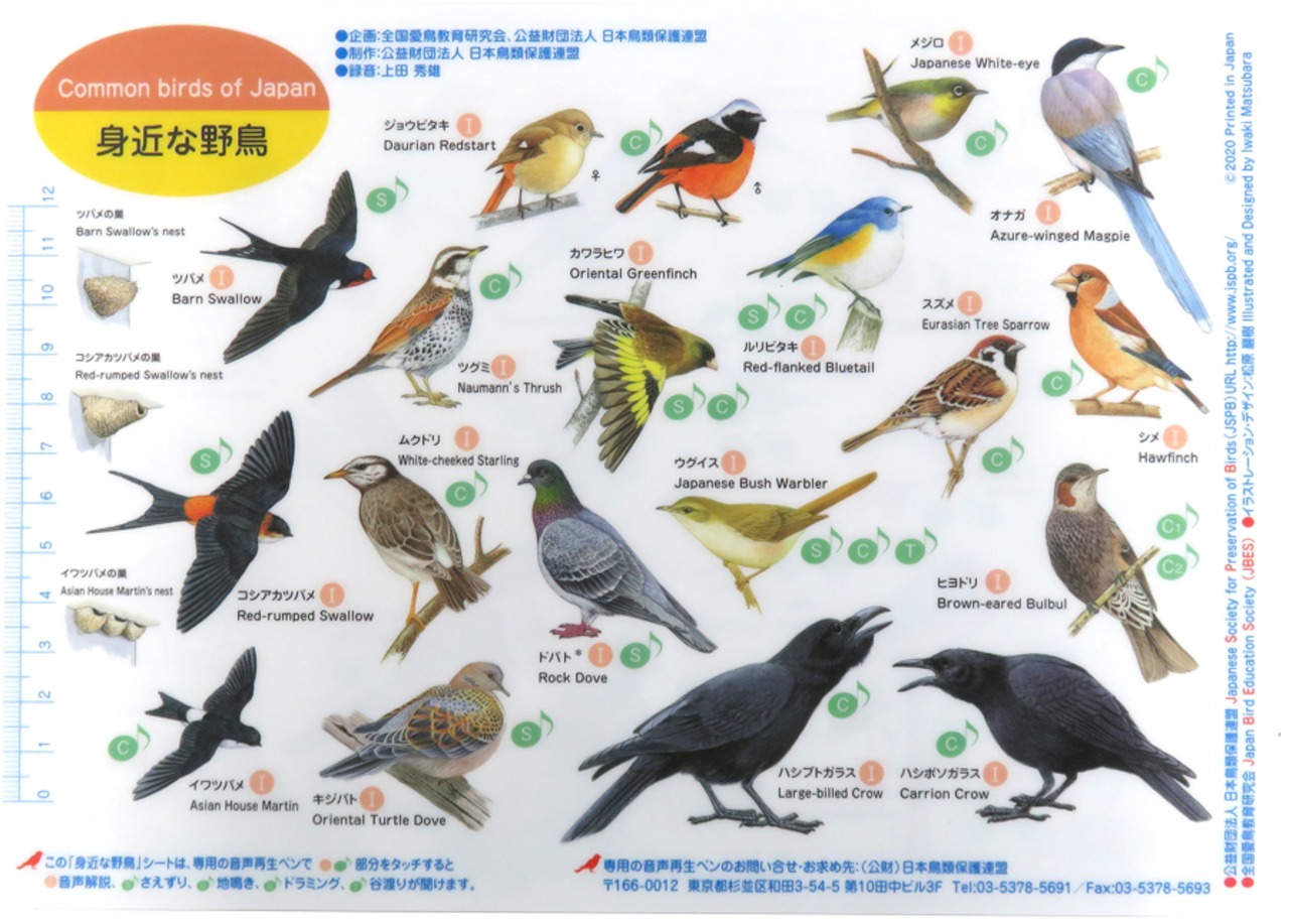 野鳥シート／音声再生・録音ペン G-Speak 【日本鳥類保護連盟】 【送料込み】