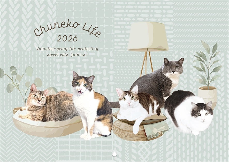 数量限定、送料無料】2026年ちゅー猫カレンダー【12月中旬発送予定