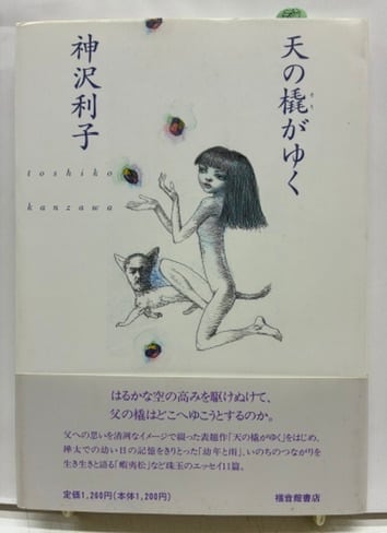 竹谷隆之作品集「漁師の角度」 1999年 初版 函 ホビージャパン