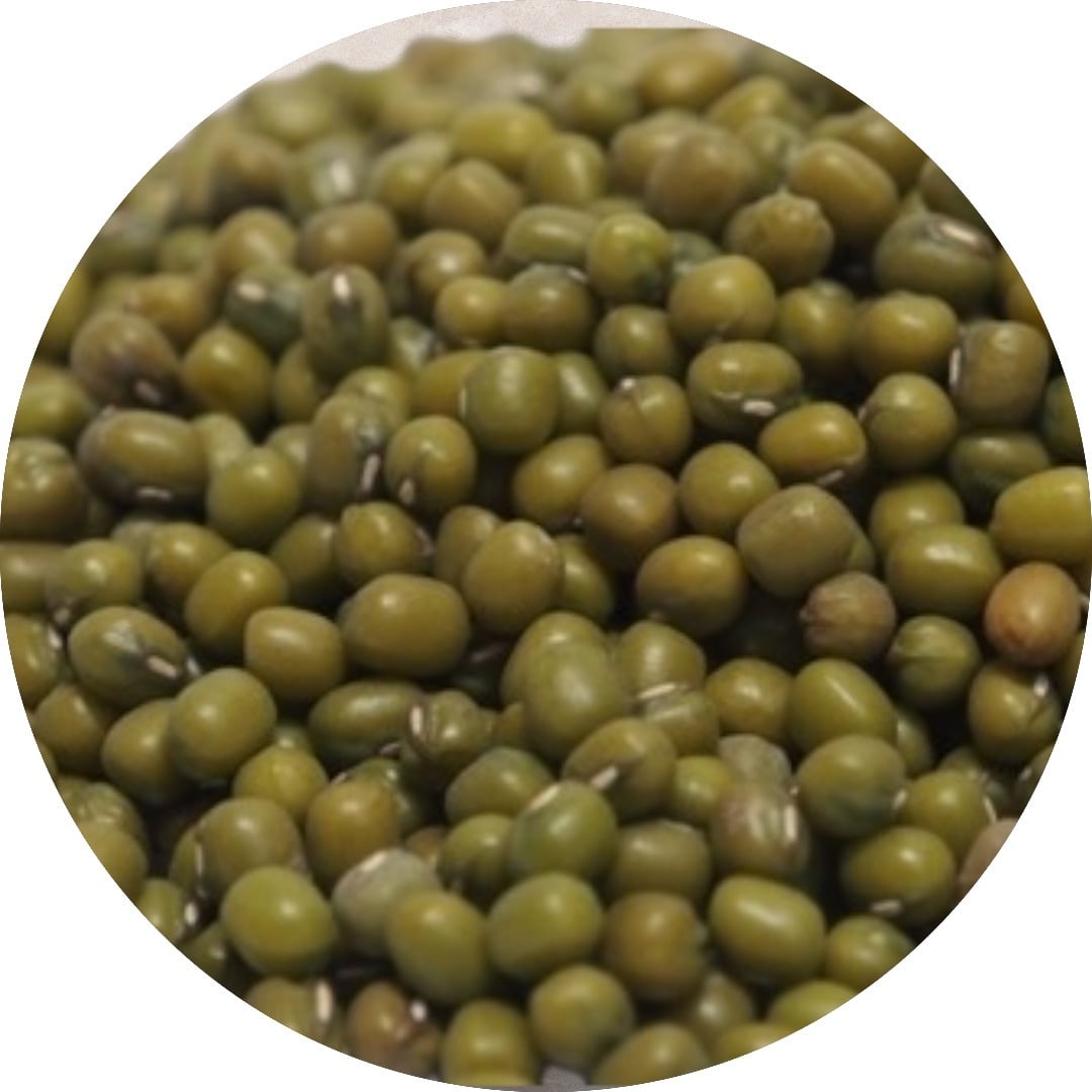 リョクトウ（緑豆）1Kg | 王寺スパイス（oji spice）カレー屋の厳選