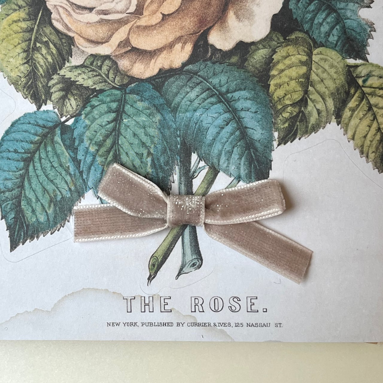 ベルベットラメ/21.ecru silver エクリュシルバー(幅/約10mm )