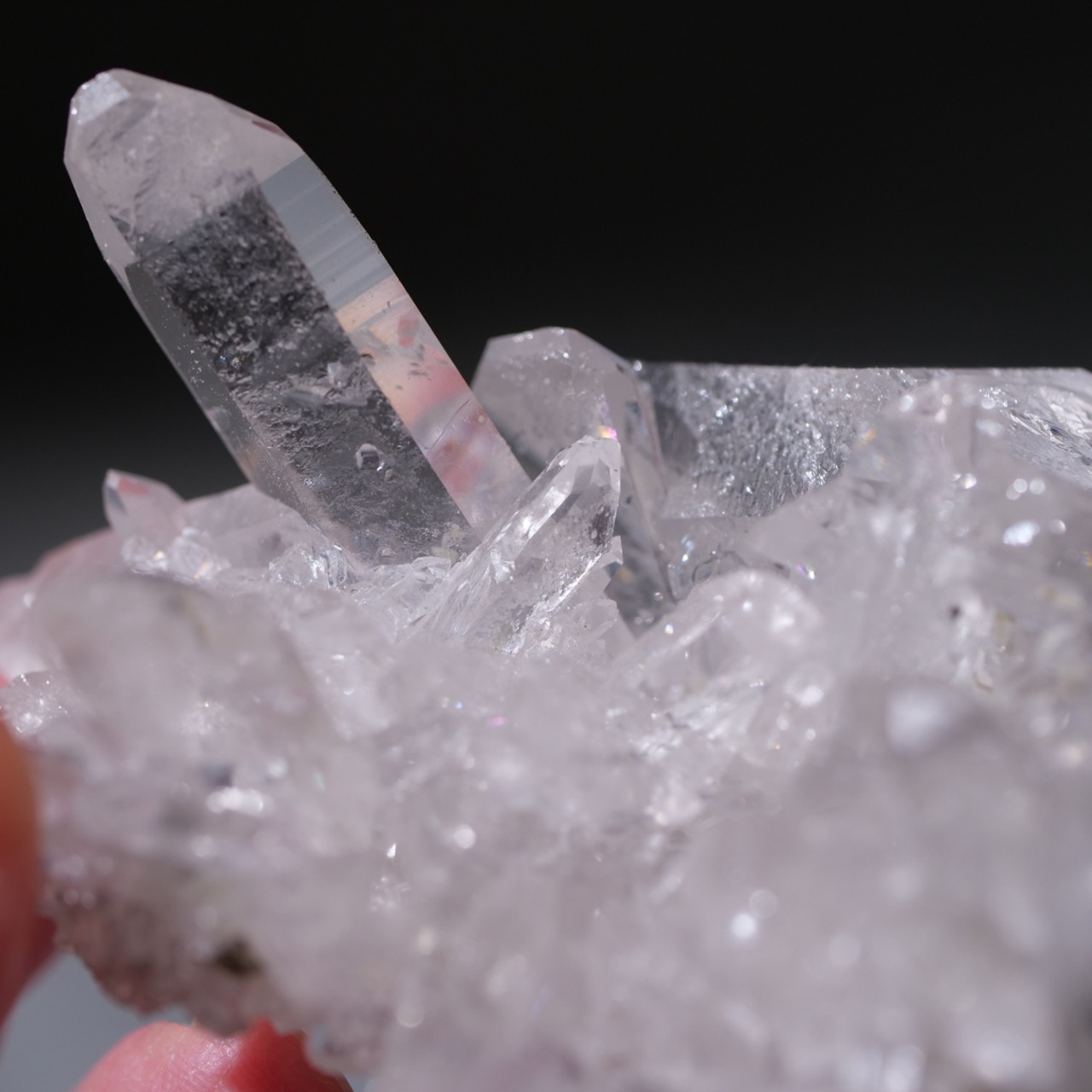 ゼッカデソーザ産 水晶 クリアクォーツ / 原石 標本