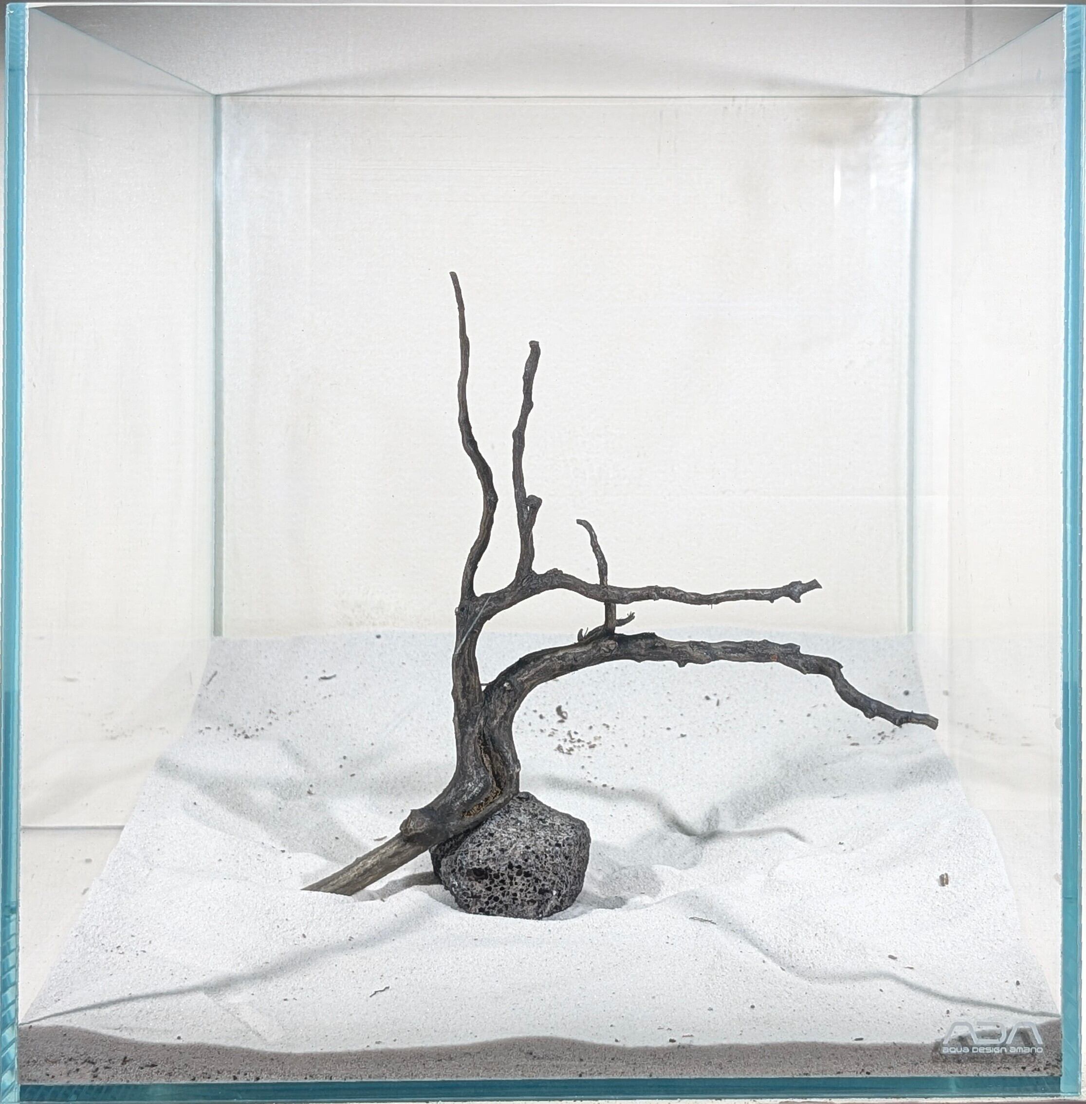 ブラックスマトラブランチウッド【BSB090】 | ペットの流木 水宗工房