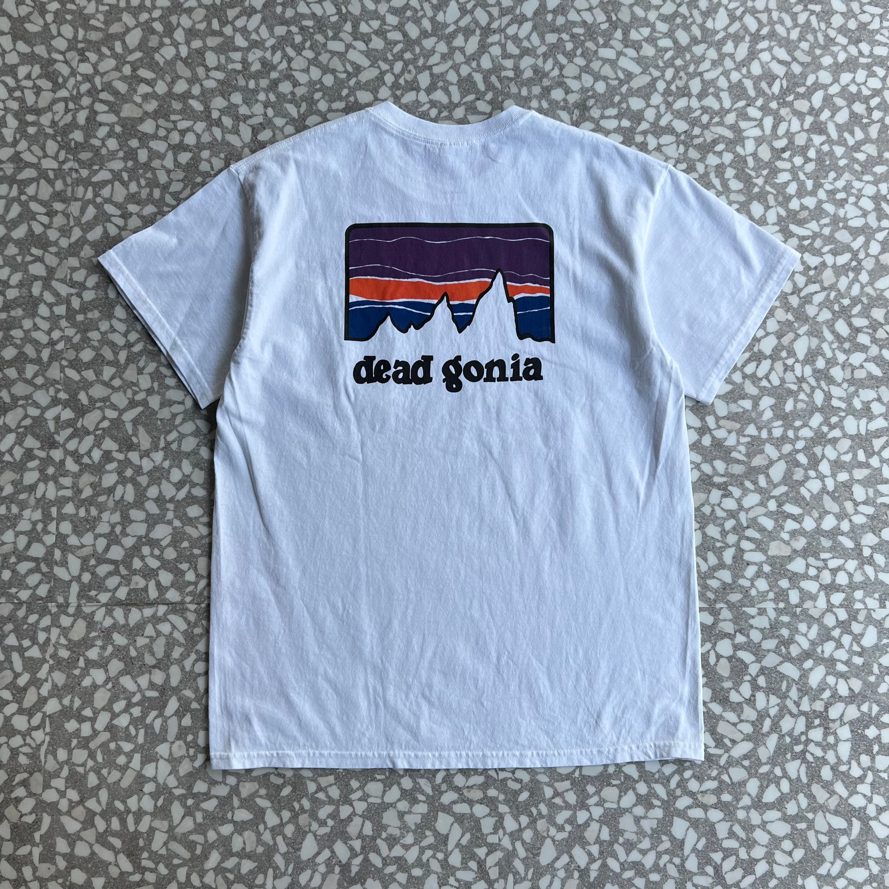 deadagonia Tシャツ パタゴニア グレートフルデッド古着usaアメカジ 