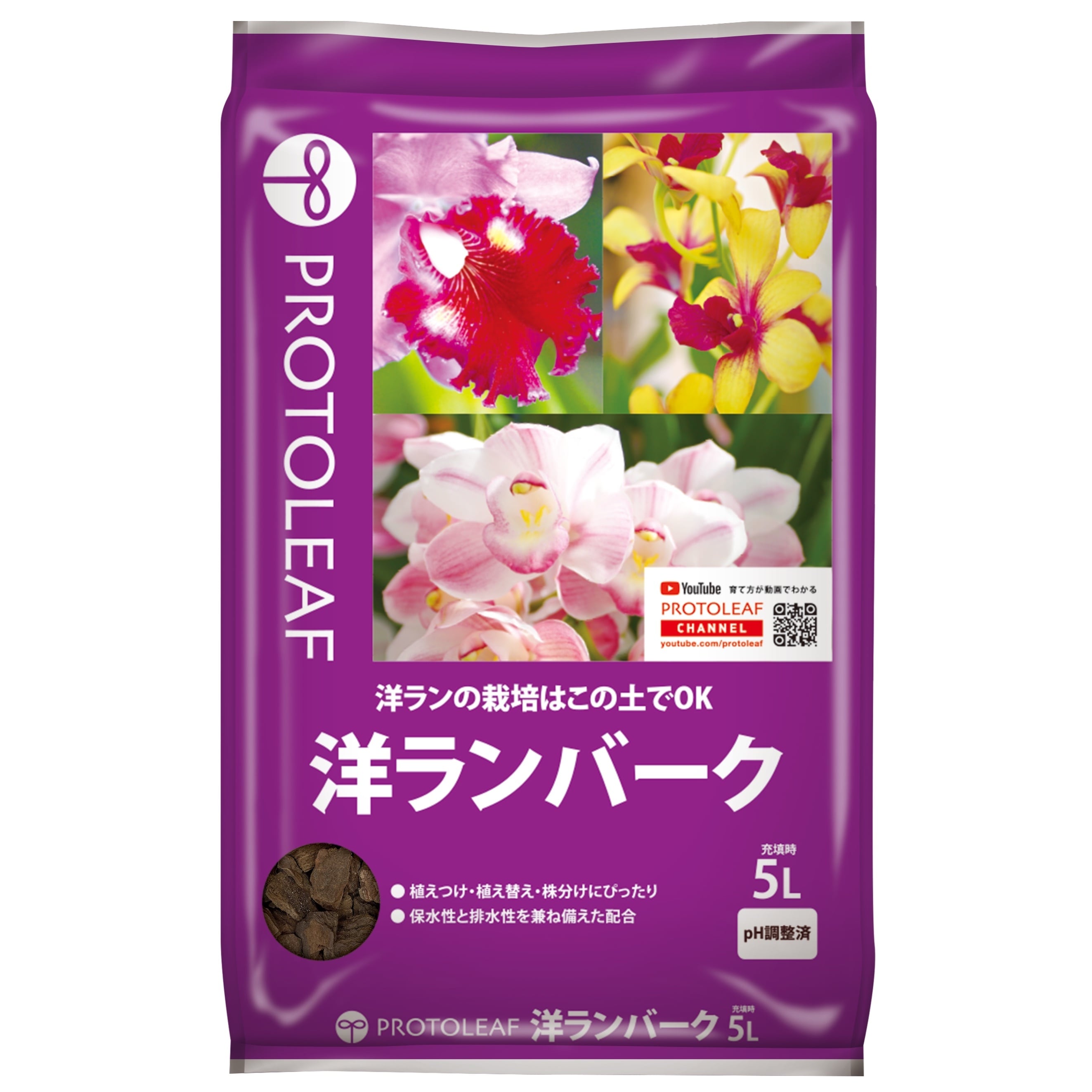 ラストです！輸入アジサイ 苗 5種セット！④ ラストです！輸入アジサイ