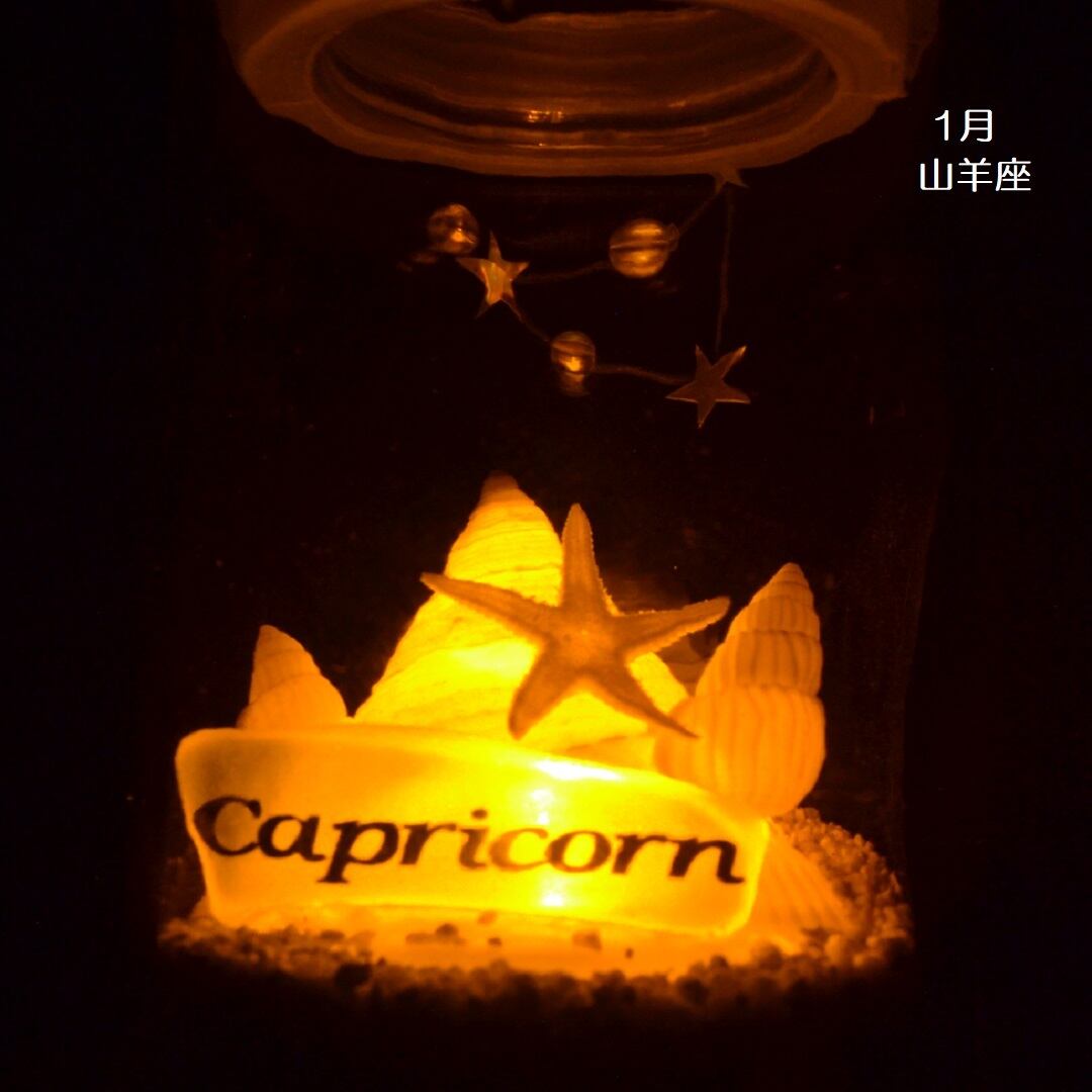 ２電源　星座シェルランプ（1月 山羊座 Capricorn）