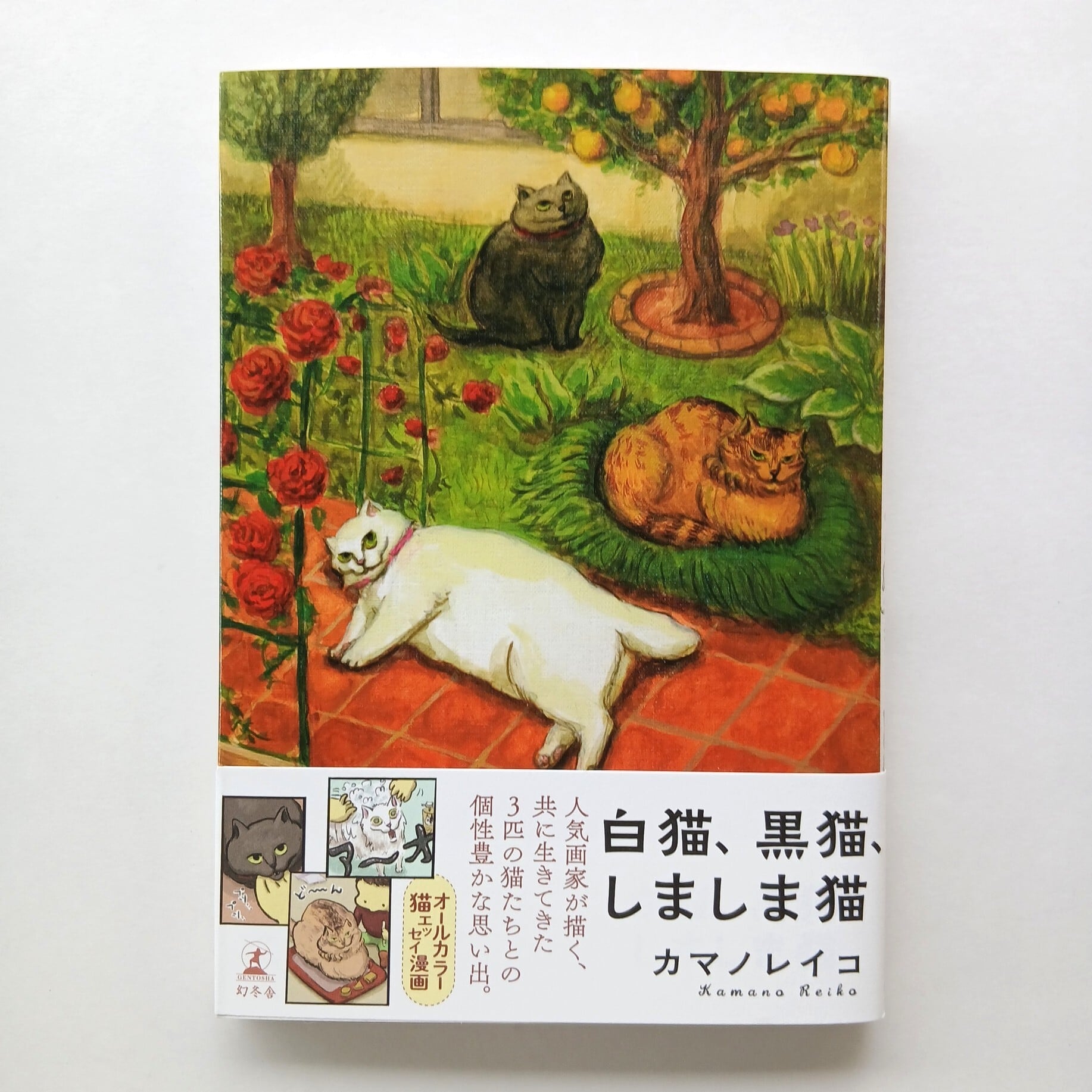白猫、黒猫、しましま猫 | ねこのみち