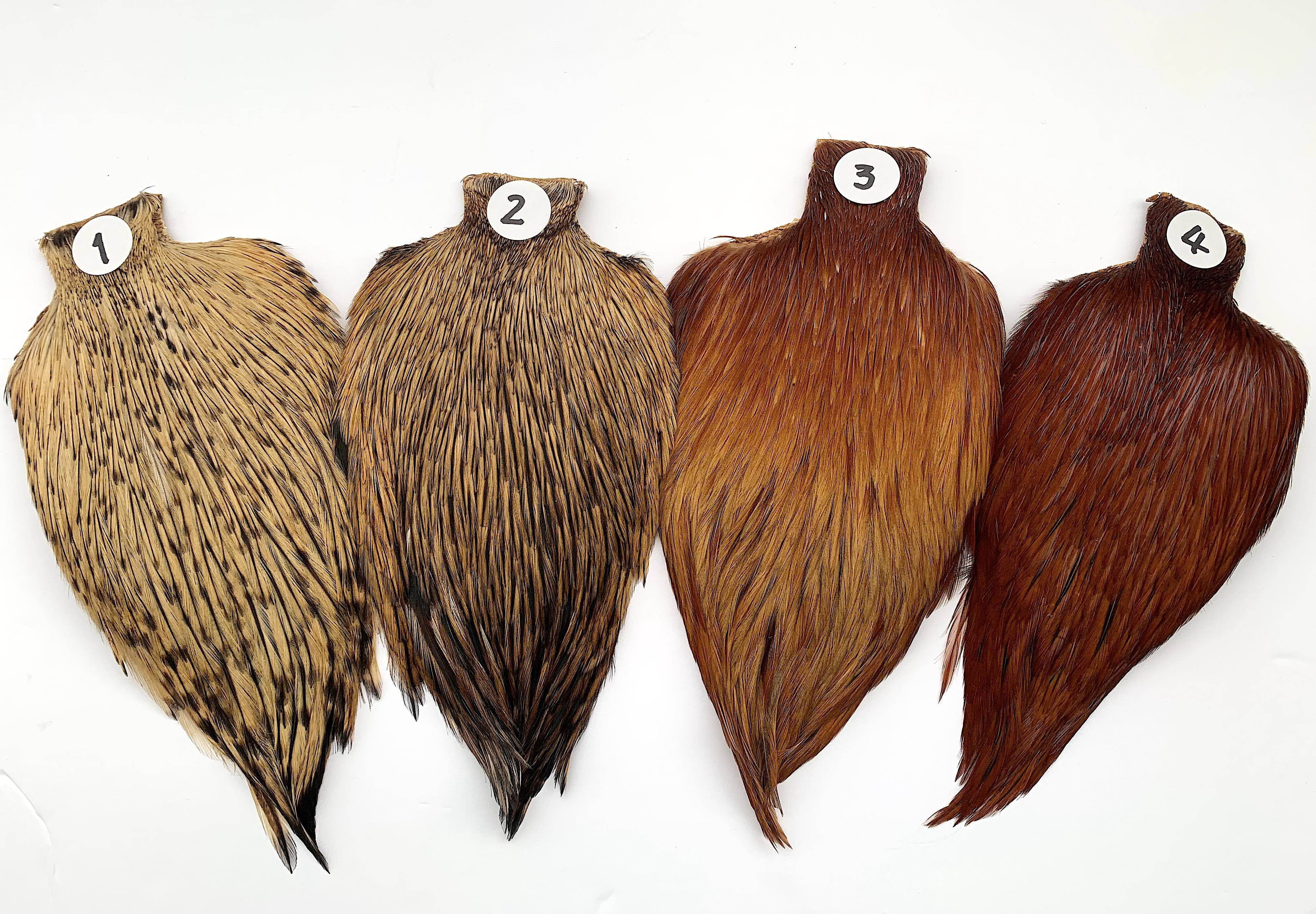 EWING】DRY FLY COCK HACKLE シルバーバジャー | Anglefield Fly Supplies EWING】DRY FLY COCK HACKLE シルバーバジャー | Anglefield Fly Supplies