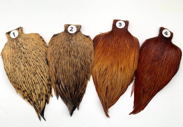 【 AFS SELECT 】Indian Cock Neck Hackle AAA グレード