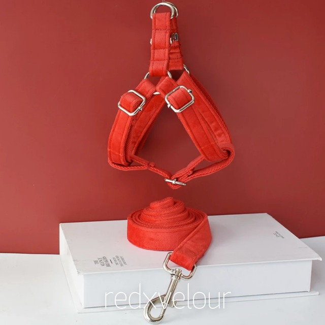 【レッド×ベロア】迷子札刻印サービス・犬用ハーネス&リード