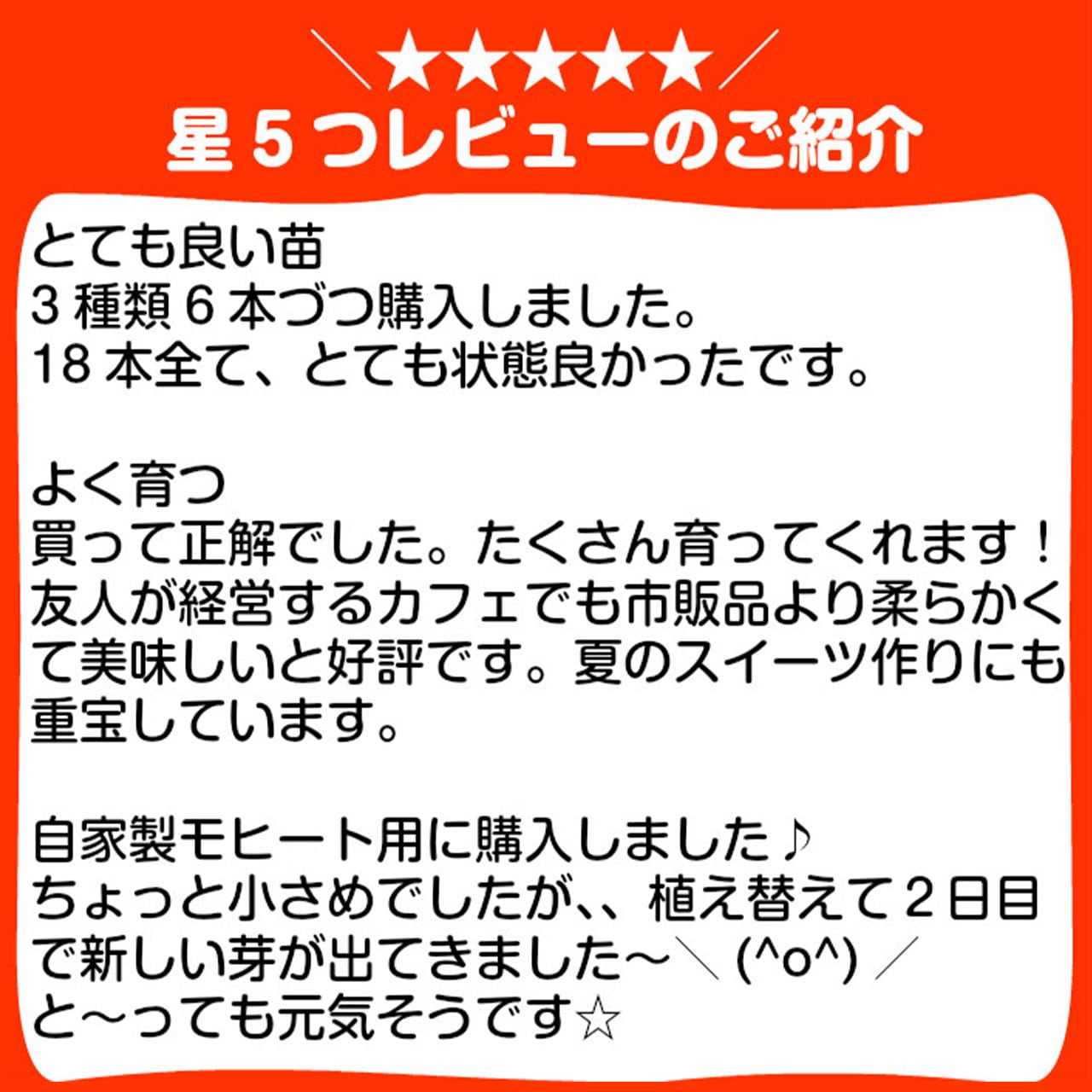 ハーブ 苗 スペアミント | ハーブ苗のポタジェガーデン 本店