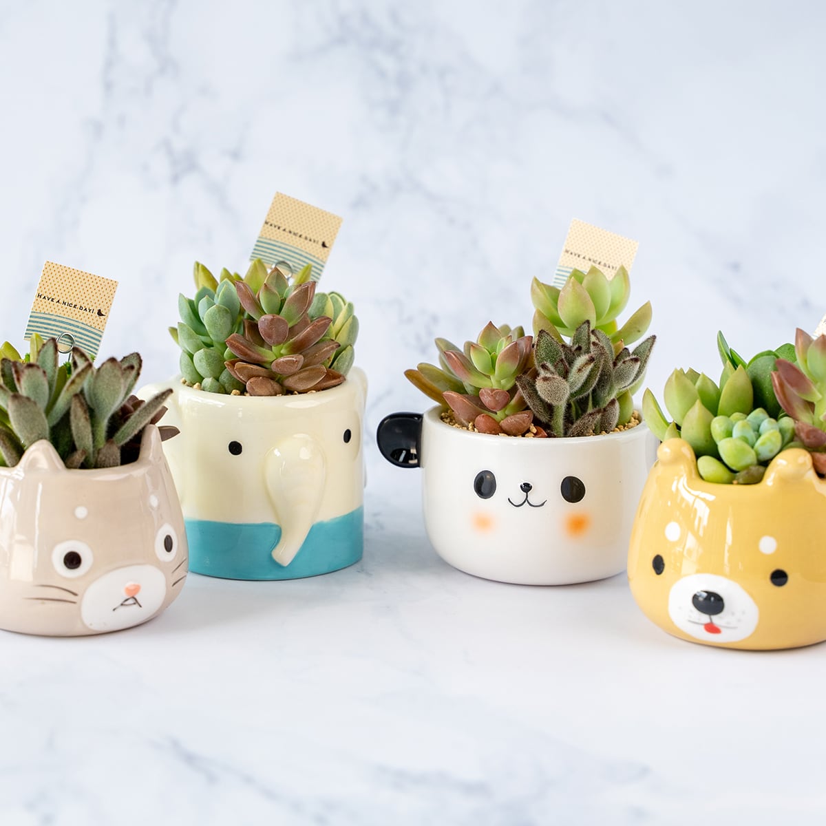 アニマルポット | Muze Plan+s