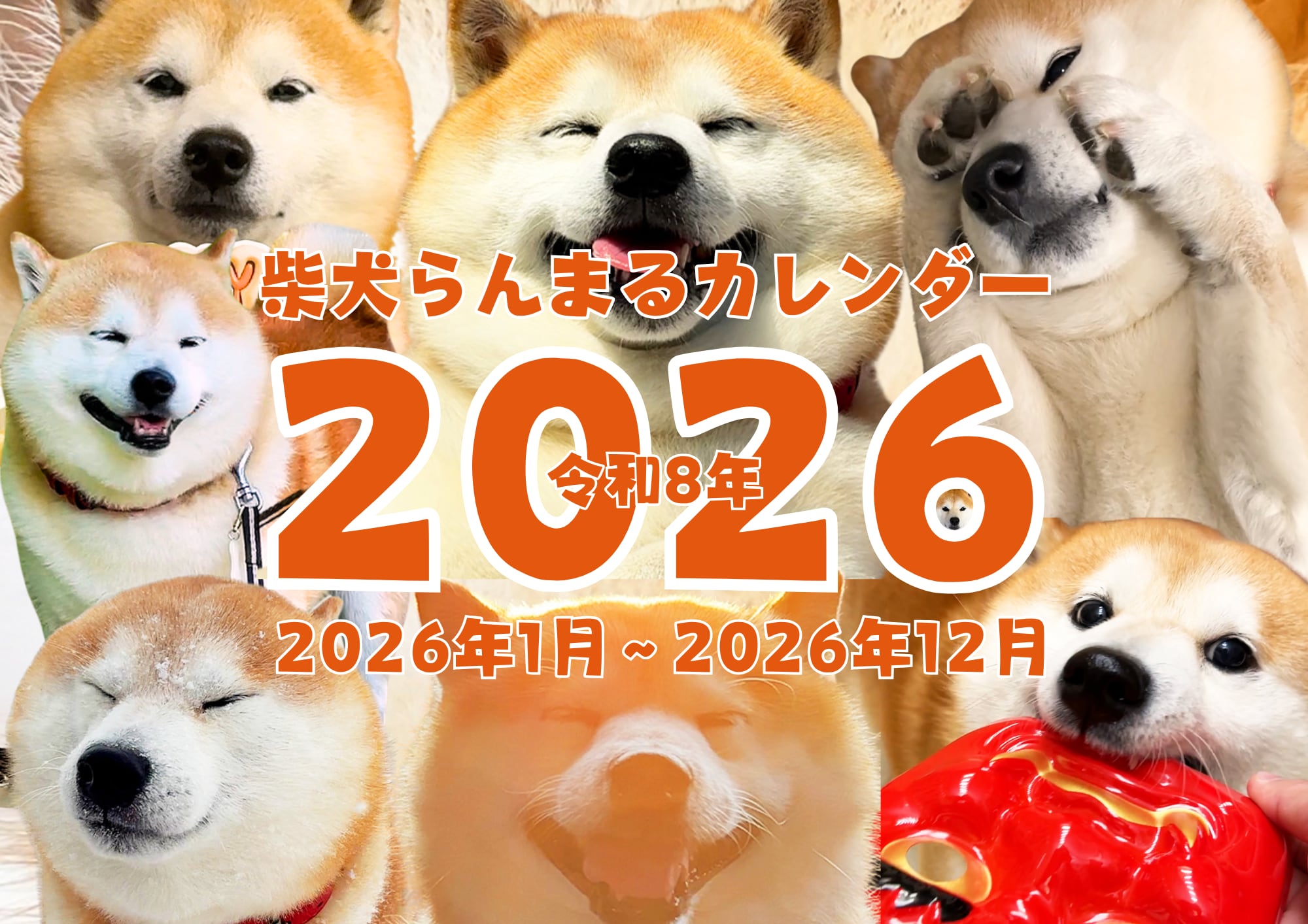 らんまるくんさま専用 らんまる様専用 らんまる様専用 らんまる様専用 TVアニメ「らんま1