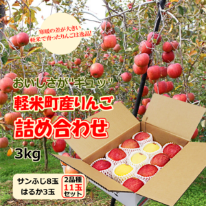 【軽米町産りんご】「サンふじ」「はるか」の詰め合わせ　3kg（11玉）※ご贈答用向き