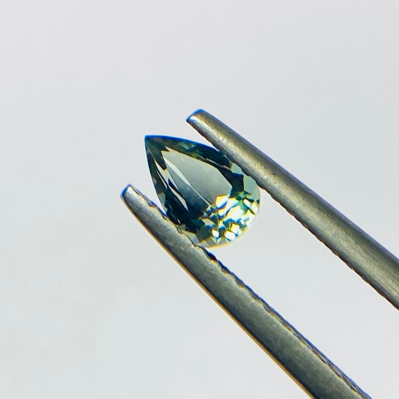 テリテリペアシェイプオレサン10