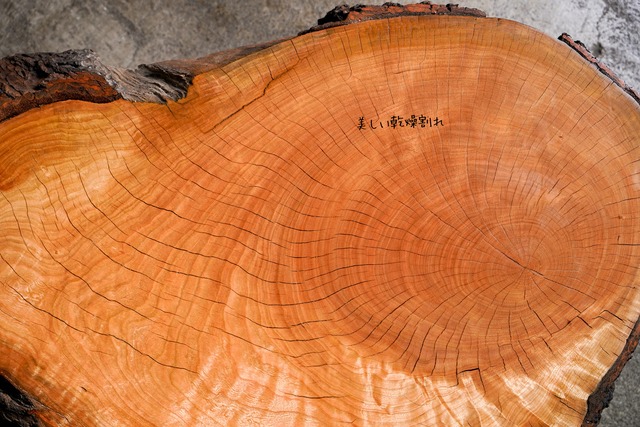 ＜送無＞ アメリカンブラックチェリーの一枚板 ローテーブル