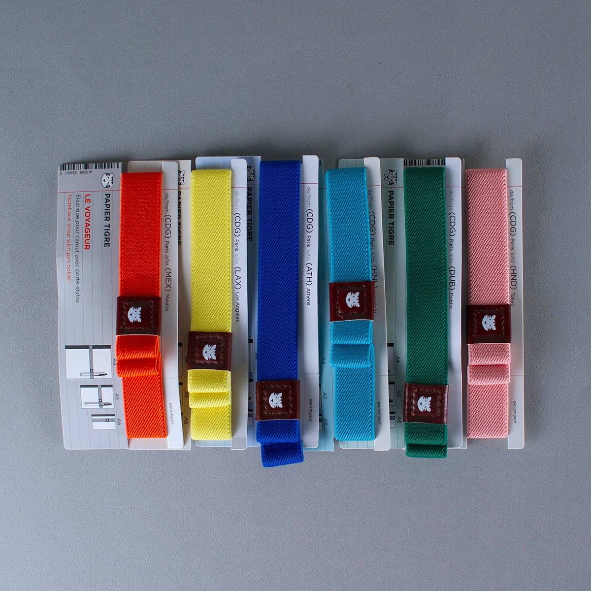 ティランジアハンドブック The Books