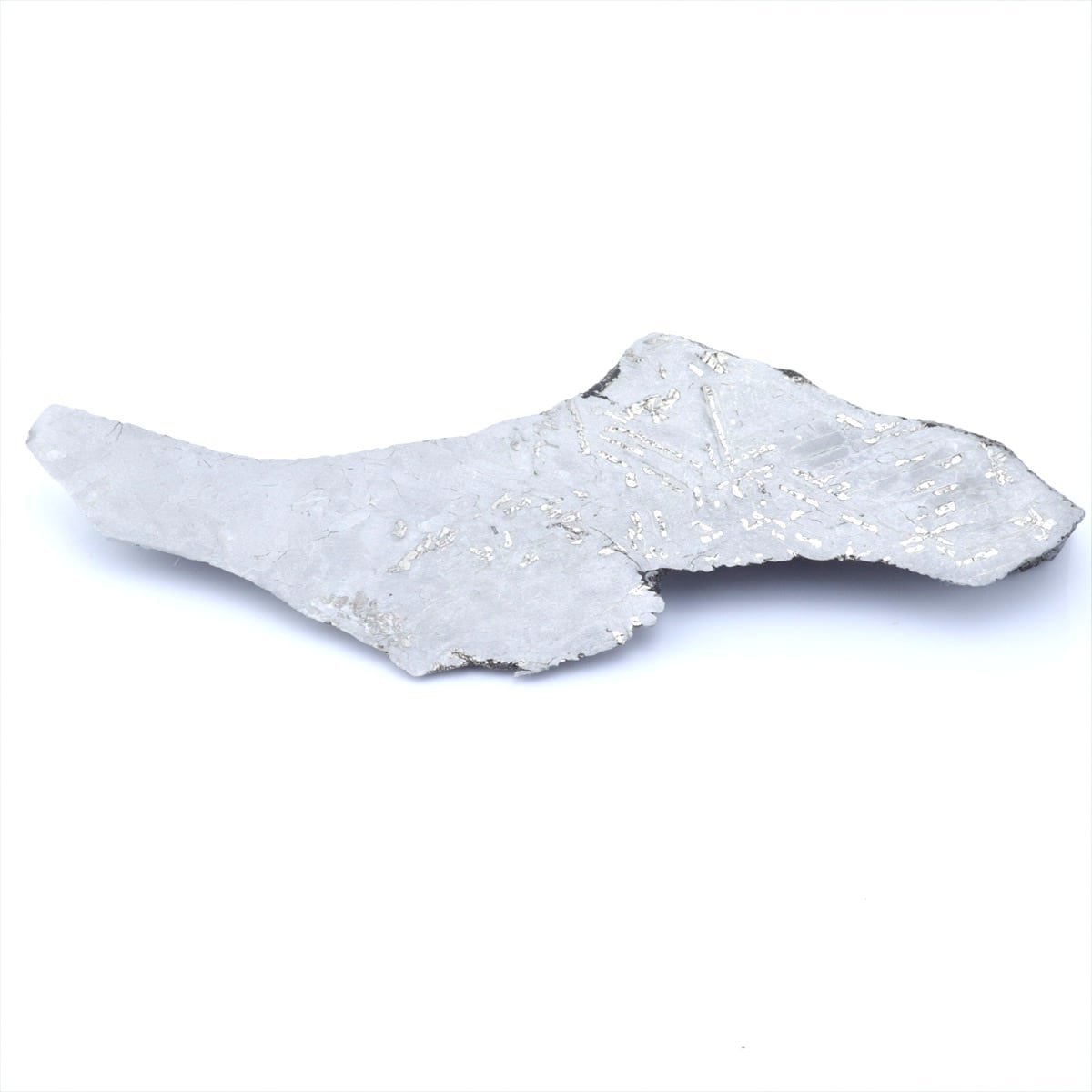 鉄隕石 オクタヘドライト | 隕石販売.jp