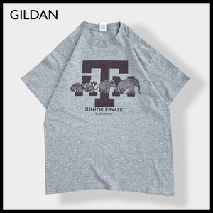 【GILDAN】カレッジ テキサスA&M大学 Tシャツ ロゴ プリント バックロゴ 半袖 LARGE グレー  Texas A&M University ギルダン us古着