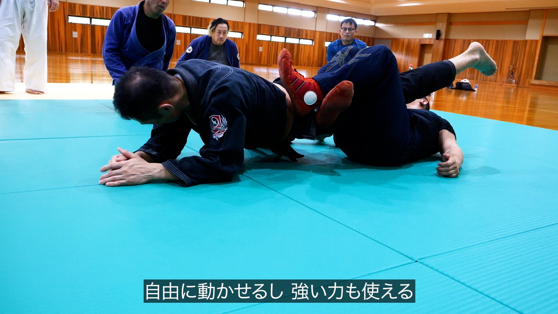足立弘成 サンボ基礎講習 足関節編 動画版（vimeo版・Dropbox版