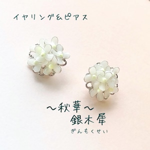 〜秋華〜銀木犀 ディップフラワーアクセサリー イヤリング ピアス