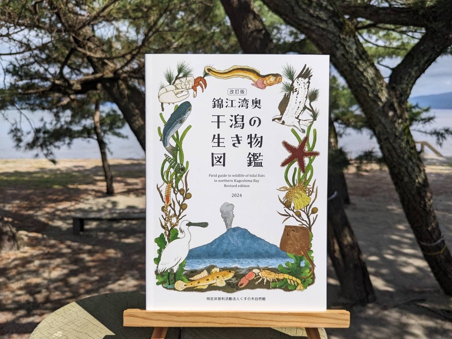 送料無料】改訂版・錦江湾奥 干潟の生き物図鑑・重富海岸ポストカード2