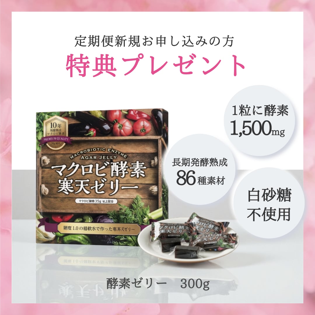 スリムビューティハウス スリムビューティーハウス エンザイム 公式