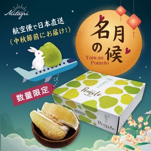 数量限定！【航空便】台南麻豆文旦６-８玉入/３kg箱× 1箱（送料込）【予約受付】