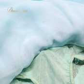 社交ダンス 衣装 クリスアン chrisanne スタンダードドレス ワンピース ドレス スタンダード 水色 フロー路 レース デモ 競技 ダンス パーティ 発表会 イングランド製 青 綺麗 ブルー系 清涼感 コンペティション スタイリッシュ