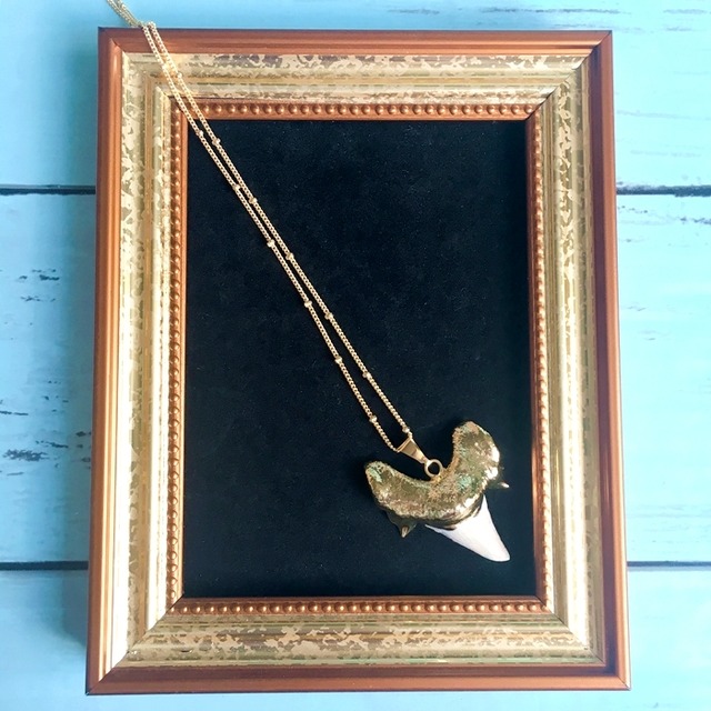 shark tooth ネックレス☆シャークトゥース☆サメの歯 幸運 魔除け  
