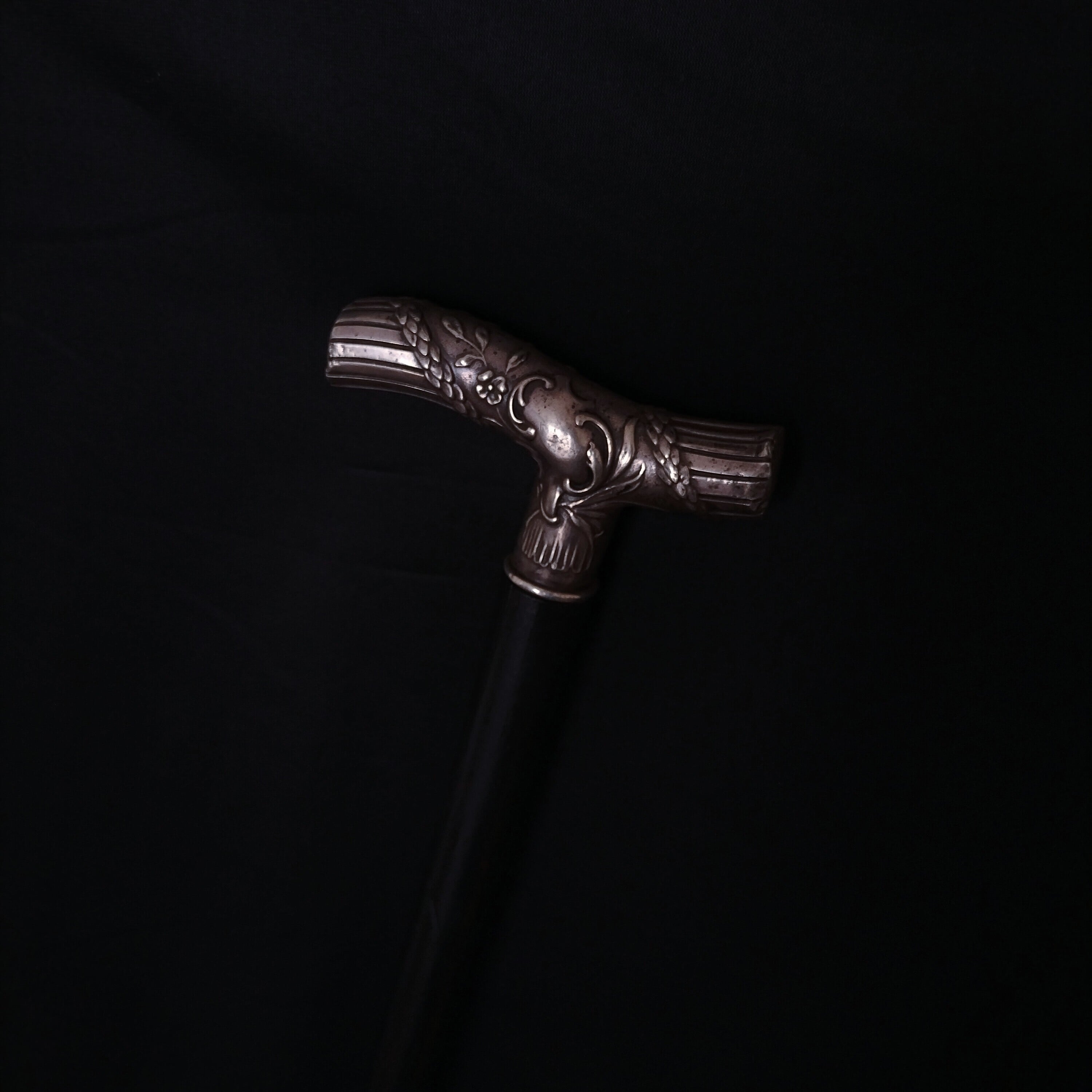 Antique Silver Walking Stick | Antico