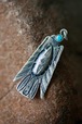 Whirling Log Thunderbird Pendant (Age Unknown)