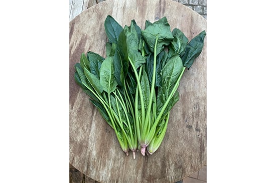 ほうれん草(千葉県産)・150g