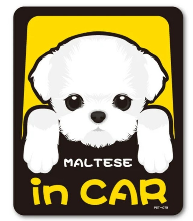 ペットステッカー in CAR 　パグ・シベリアンハスキー・ダックスフンド・マルチーズ