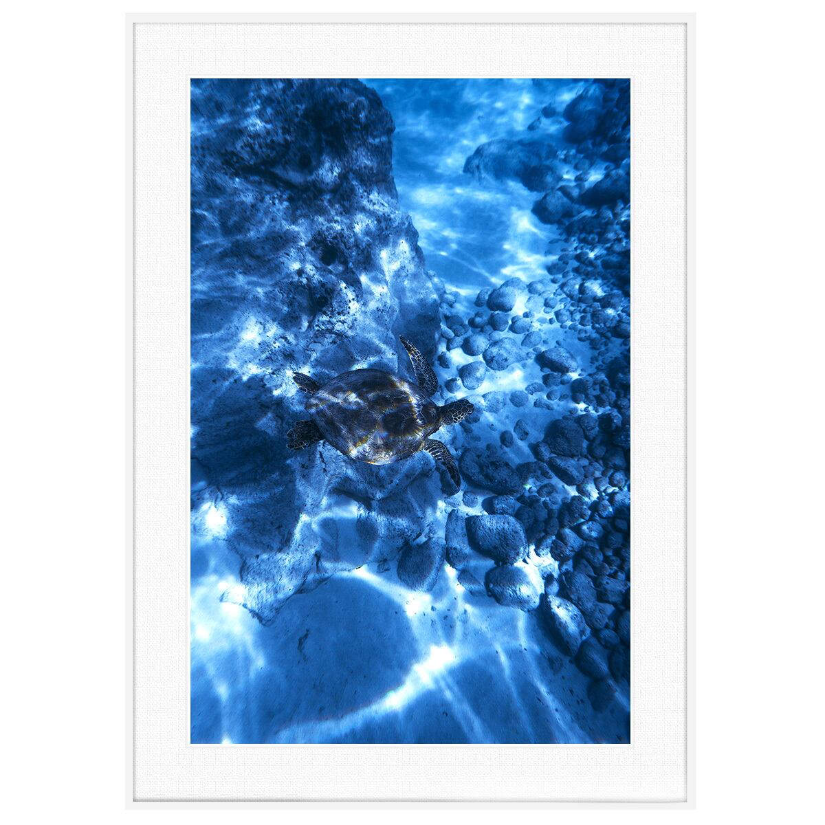 夏写真 ウミガメ インテリアアートポスター額装 AS3751