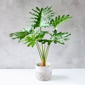 セローム フィロデンドロン フェイクグリーン 人工観葉植物 アンティークポット インテリアグリーン 北欧インテリア 卓上グリーン