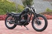 Pipe-work (Front)Fender BLACK Painted 250TR