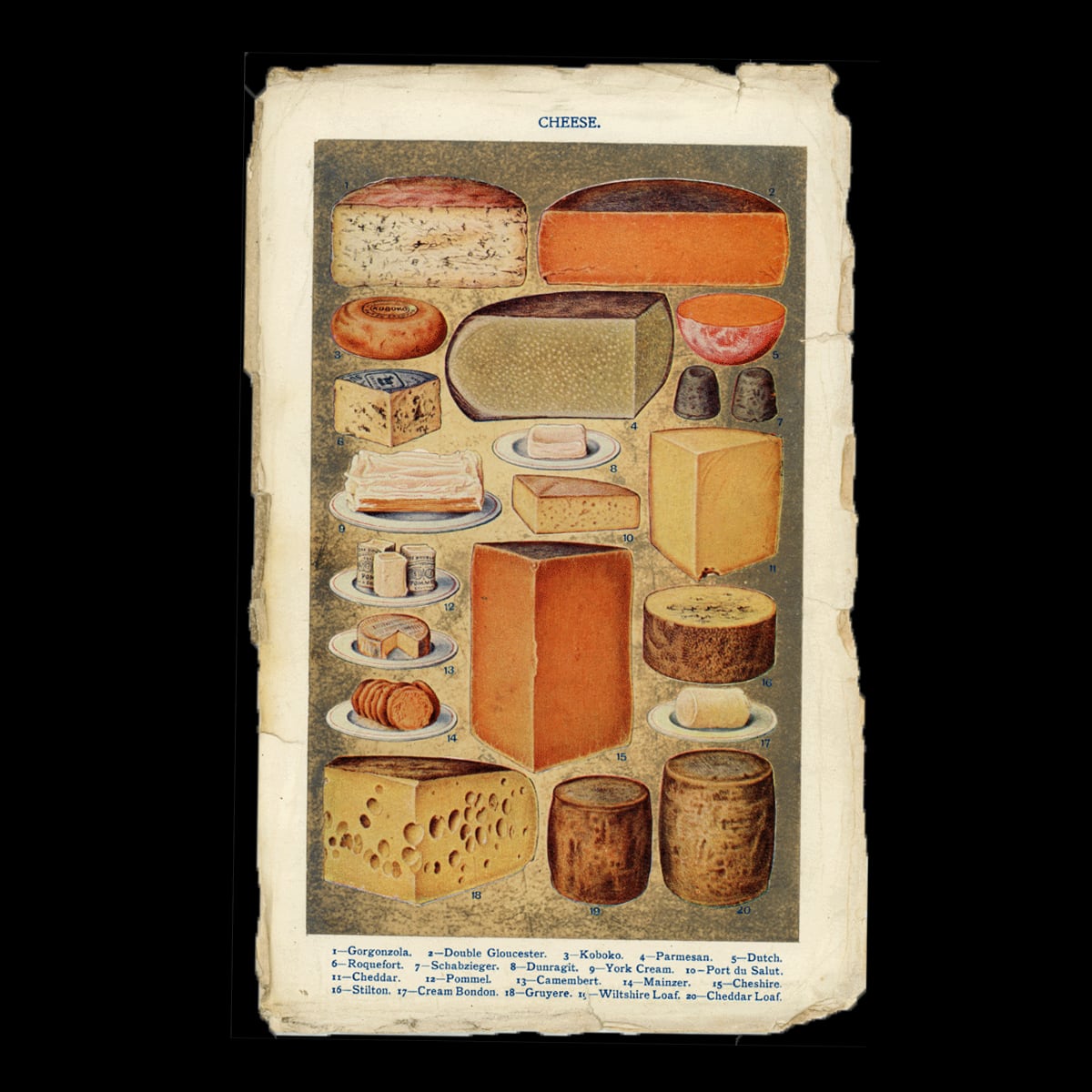 【1914年】英国アンティーク食の図版|チーズ CHEESE