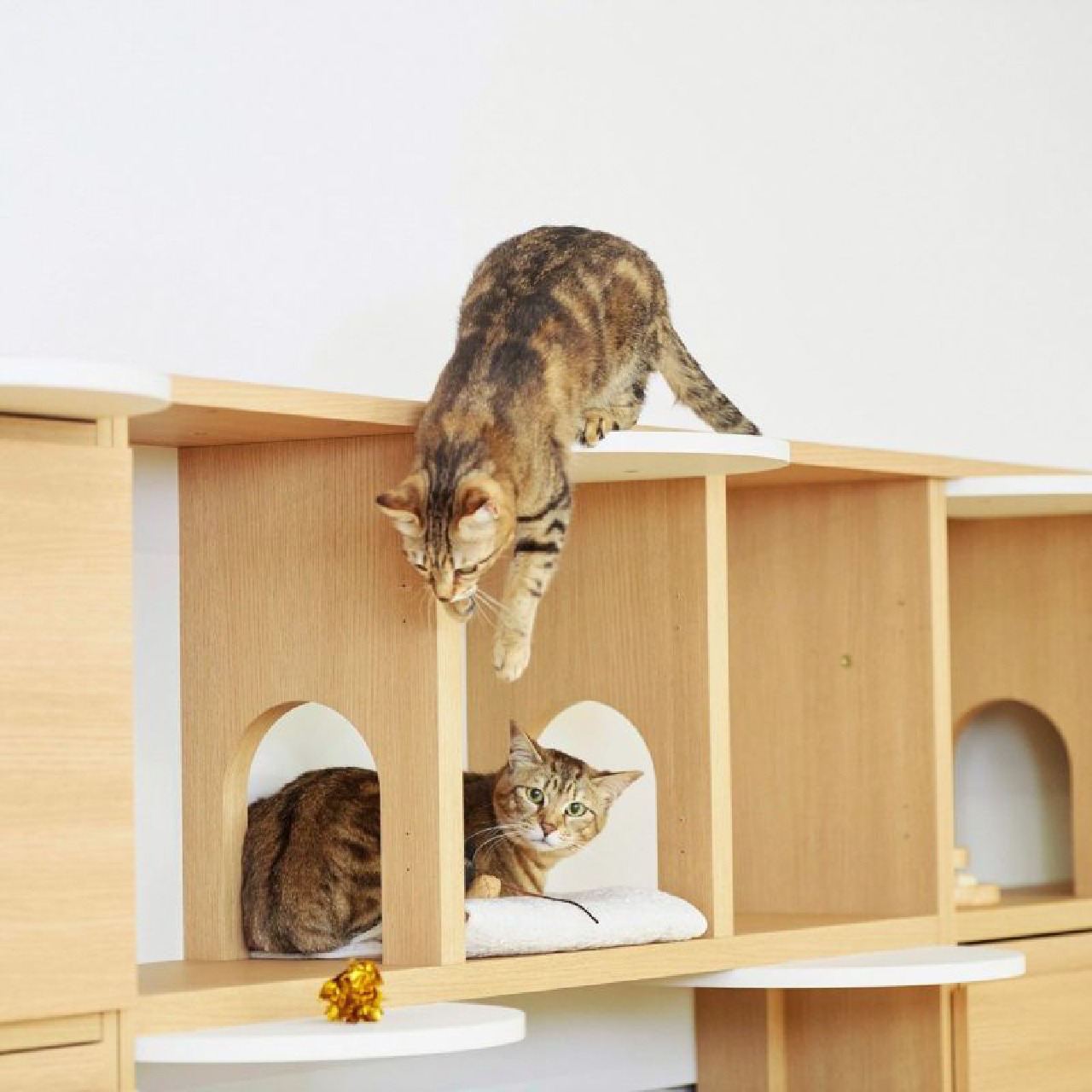 ニャコモ　ラック W90　NCM-1890H NA