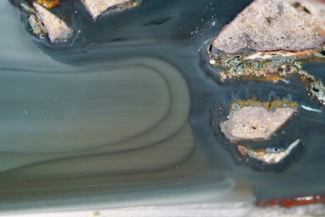 ブルーマウンテンジャスパー Jasper  ②