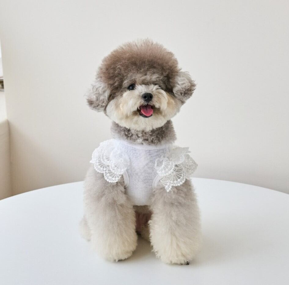 SM/即納【eomuk】Baby Lace Linen Sleeveless《White》
