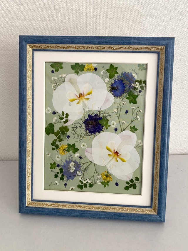 ファレノプシス　　　　　　　　　～季節のかぜにのせて～