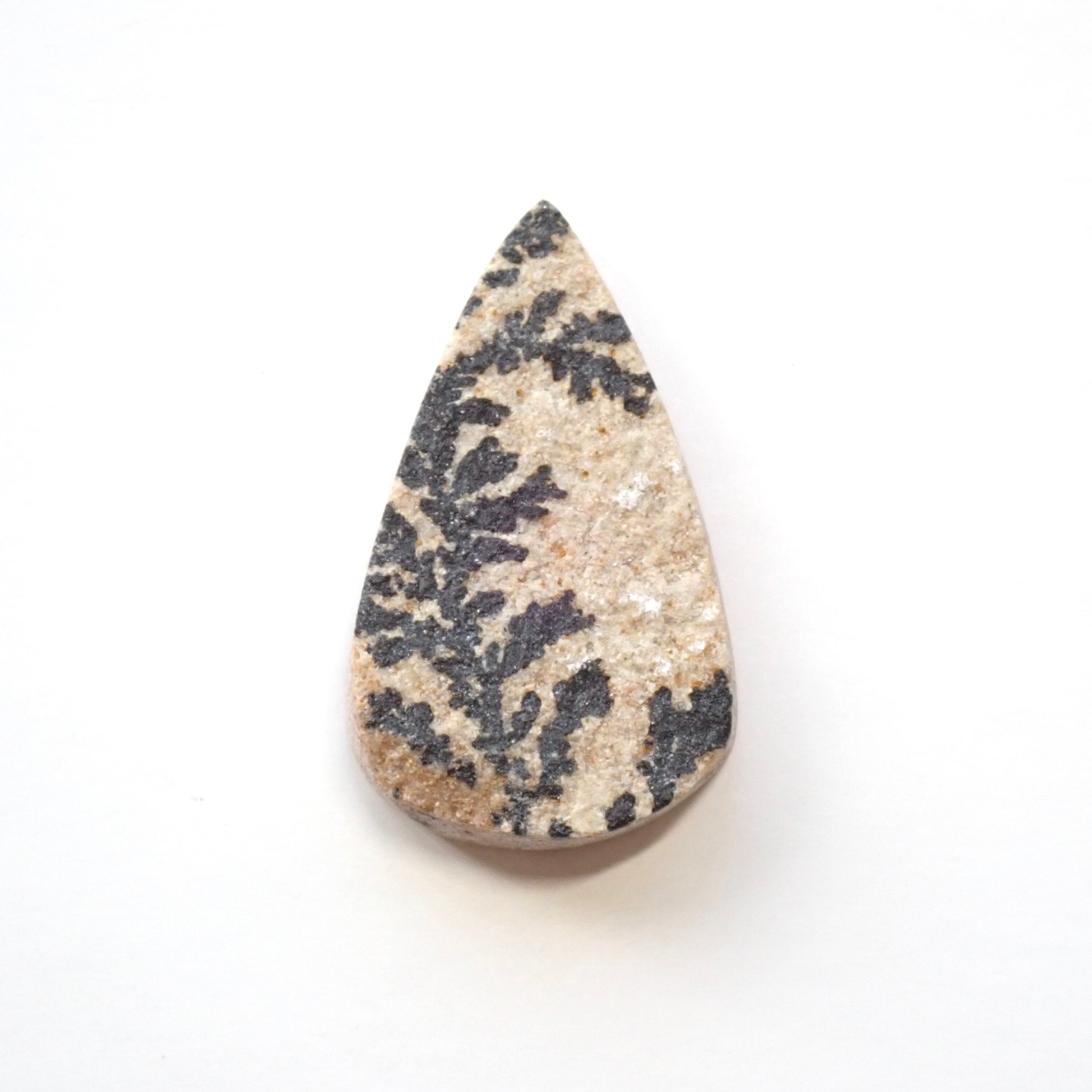 ジャーマン・デンドライト　06