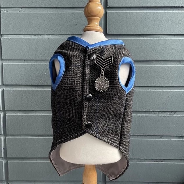 大型犬もOK ブルーのラインが目を引くベスト