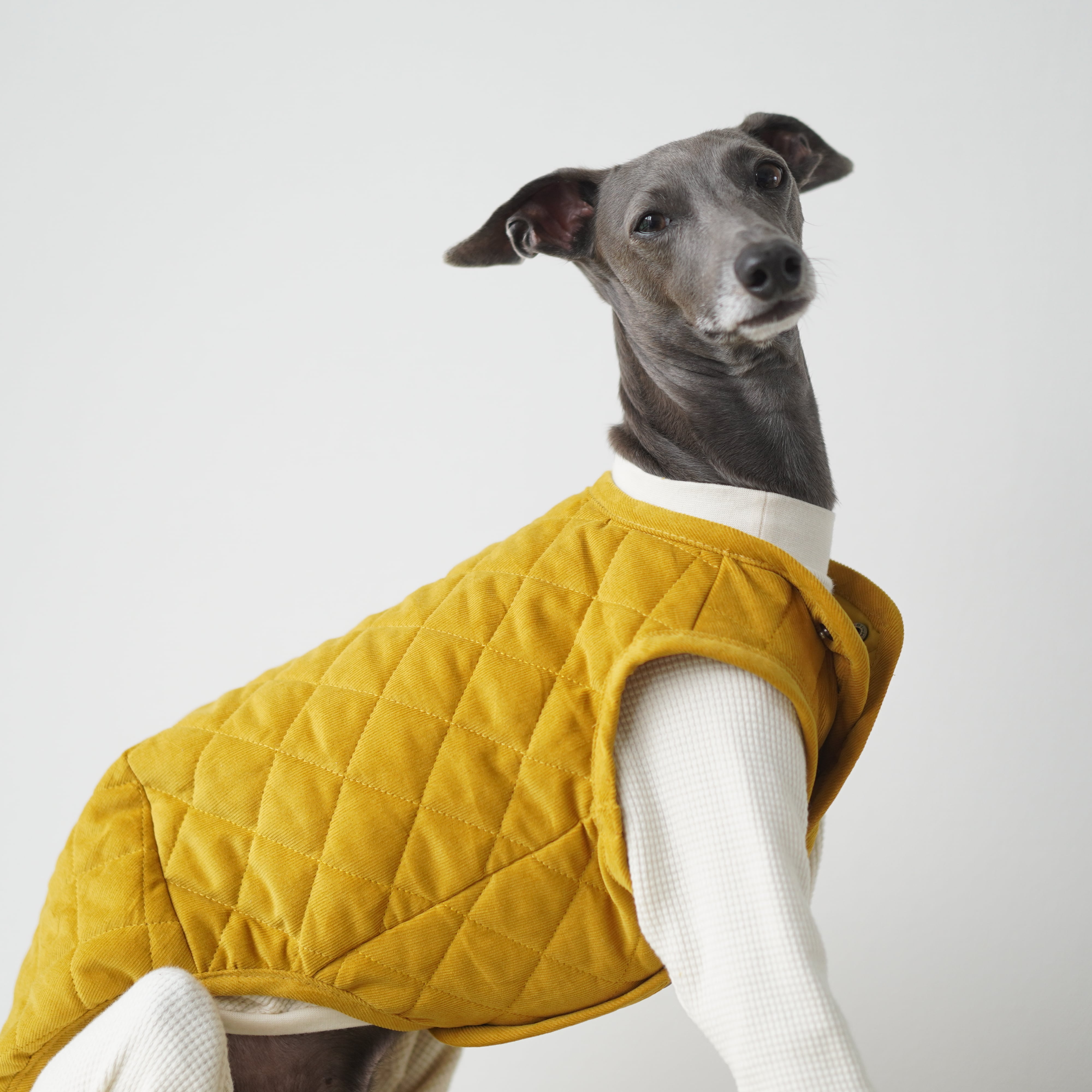 quilting vest | bacio