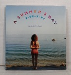 ジョール・マイヤーウィッツ JOEL MEYEROWITZ  ア・サマーズ・デイ A summer's day  リブロポート