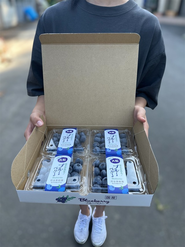 【予約販売：2026.7.1以降順次発送】【3L以上】【約500ｇ】小分けパック（125g×4パック入り）大粒ブルーベリー