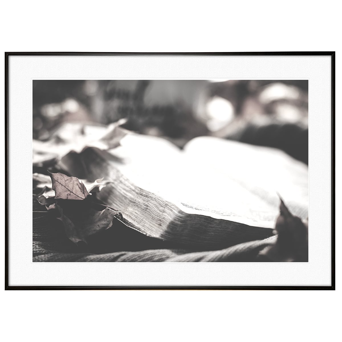 秋写真 読書の時間 インテリア モノクロ(モノトーン)アートフォト